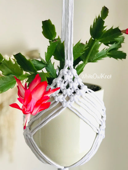 Hanging macrame plant holder with a red flower and green leaves on a neutral background