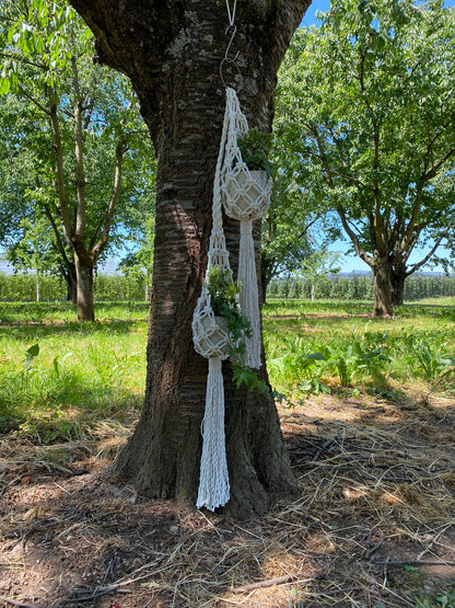 Double Macrame Plant Hanger Pattern PDF – Vertical Two-Pot Design