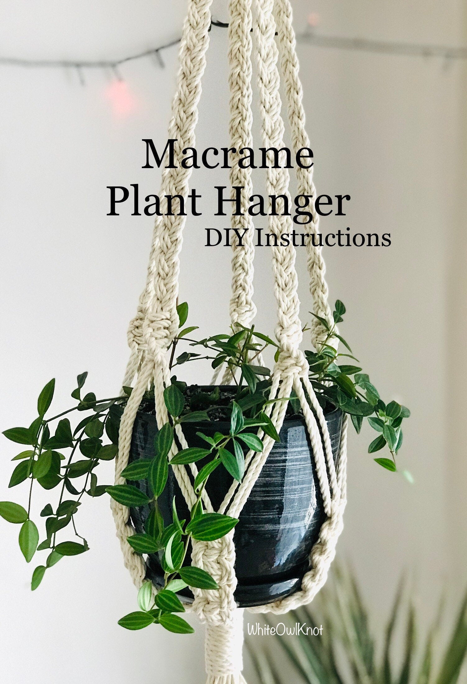Macrame plant hanger with a plant and text overlay on a neutral background