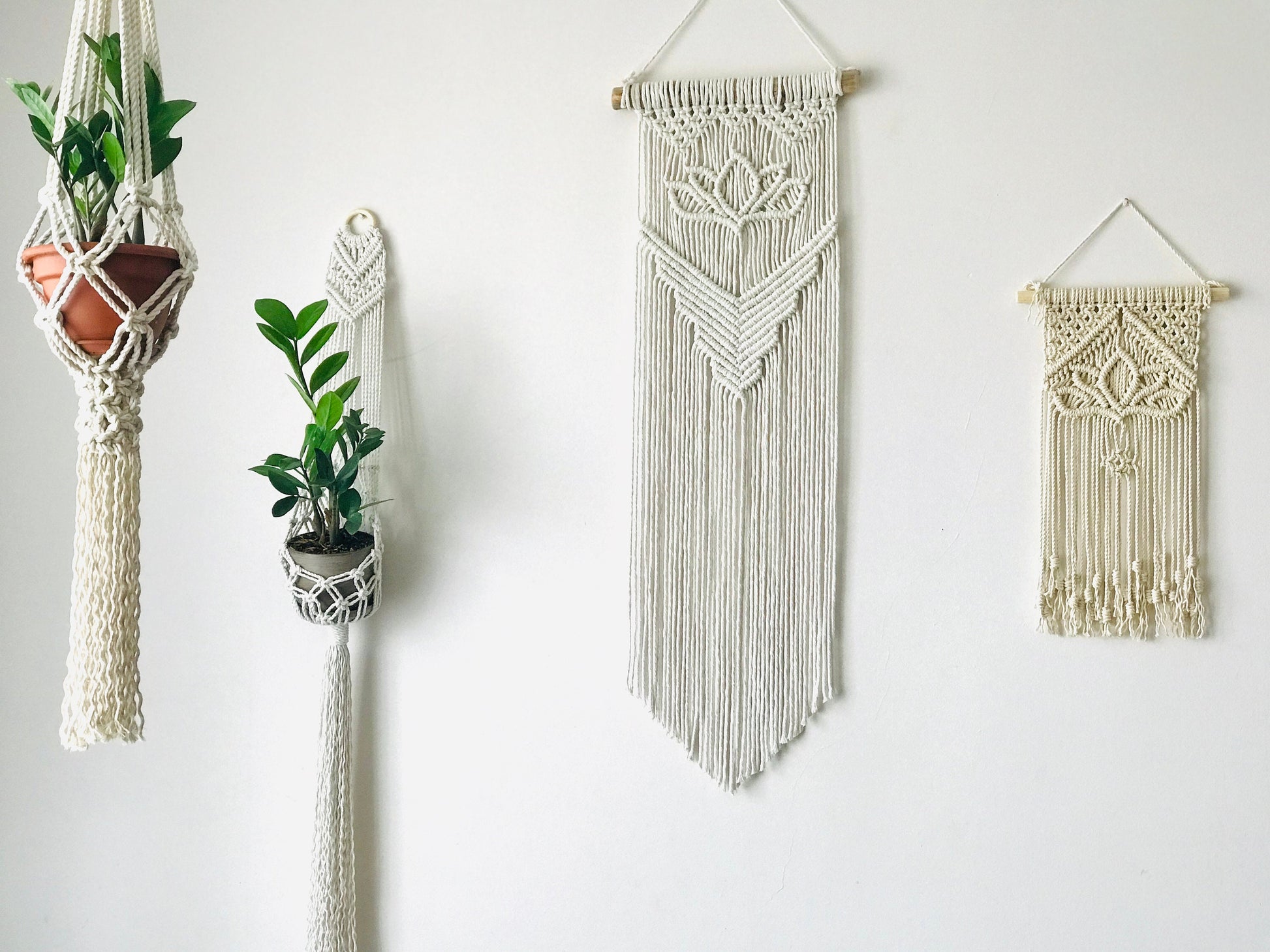 Macrame wall hangings and plant holders on a white wall