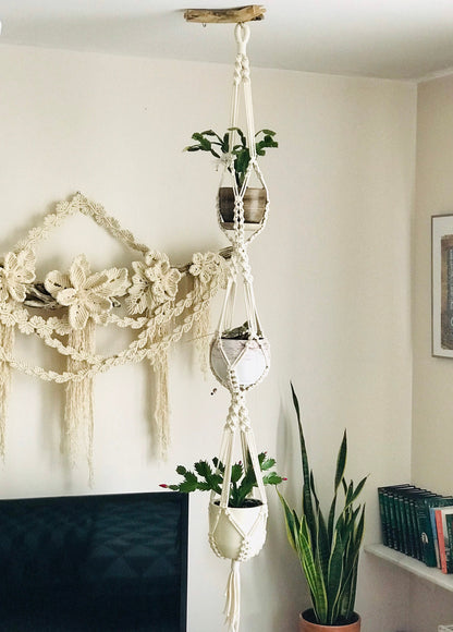 Macrame plant hangers with plants on a wall with decorative items.