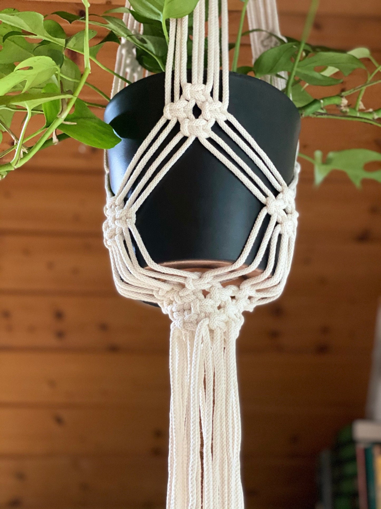 Macrame plant hanger with a black pot against a wooden background