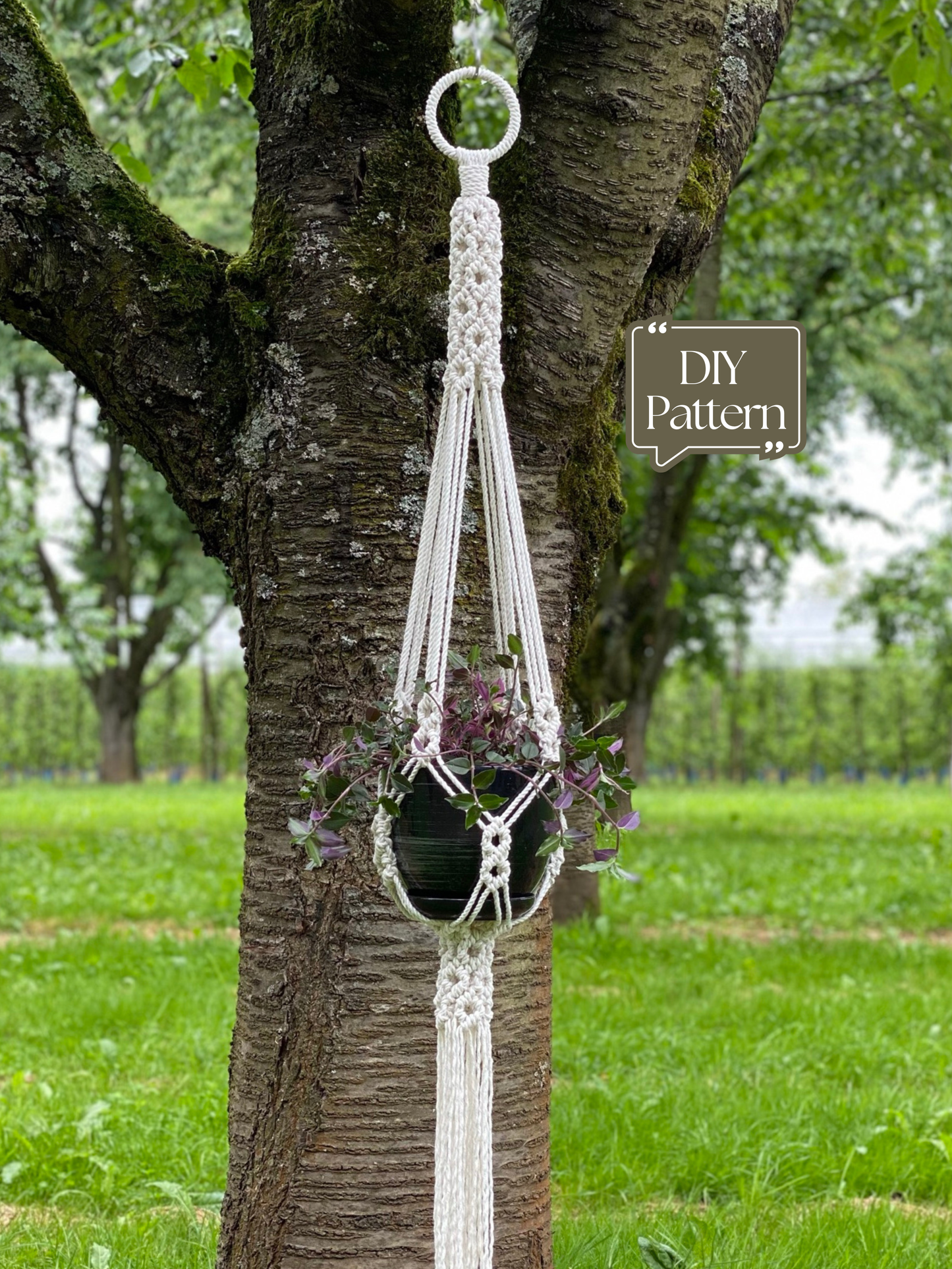 Macrame plant hanger hanging from a tree with 'DIY Pattern' text overlay.