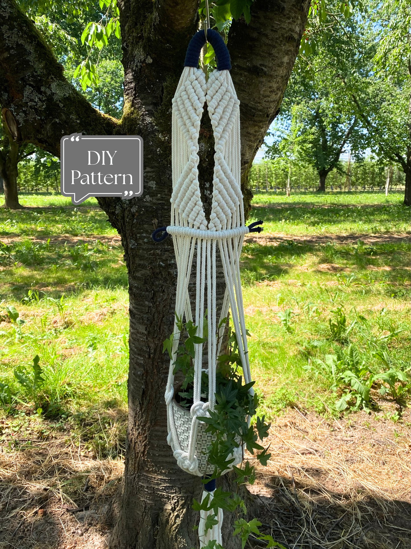 White macramé plant hanger with textured knot design and blue accent details, hanging outdoors on a tree with a potted plant; DIY macramé PDF pattern.