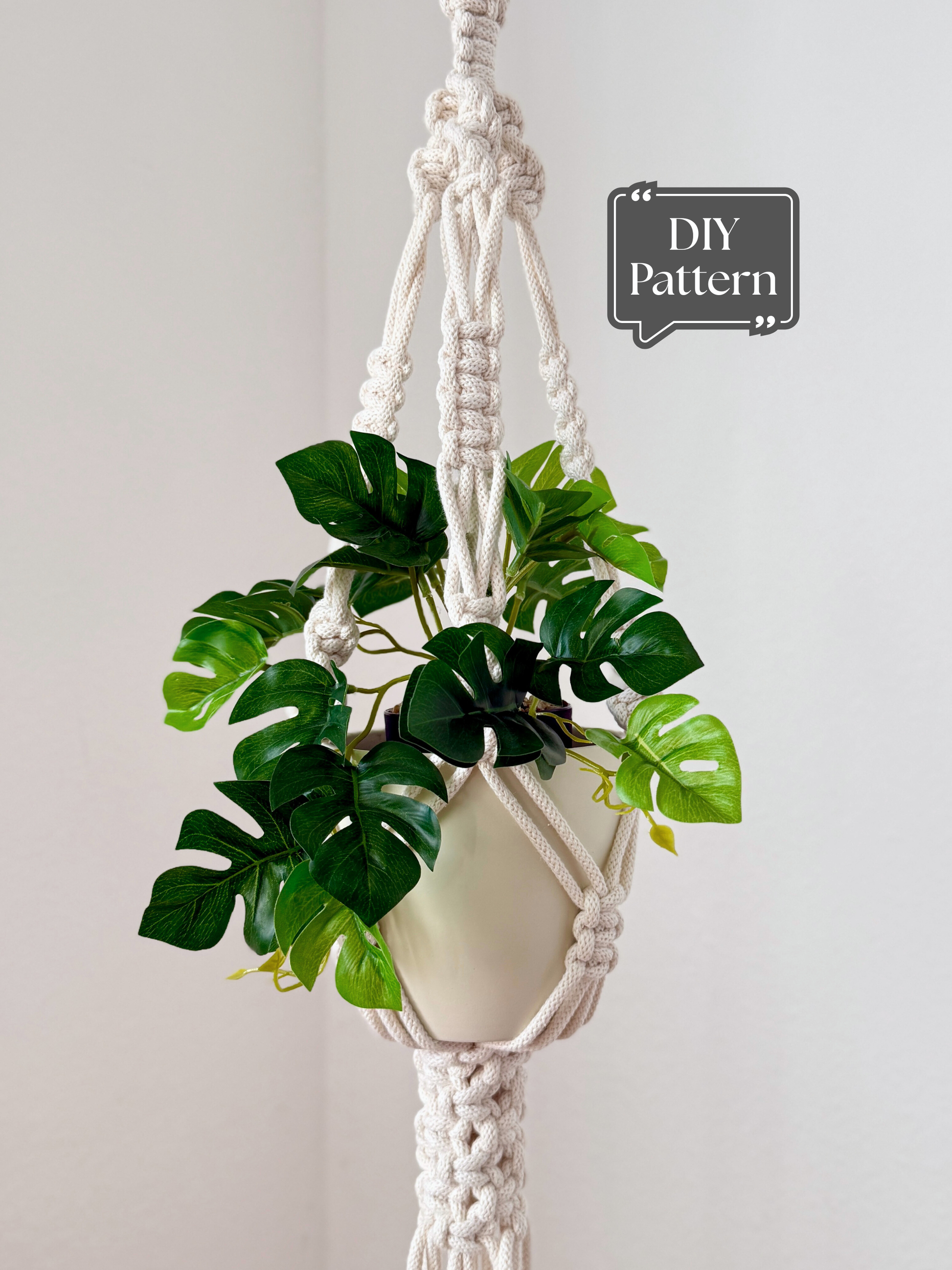 Classic macramé plant hanger with traditional knotwork, holding a ceramic pot with a green houseplant, neutral indoor background, DIY macramé pattern.