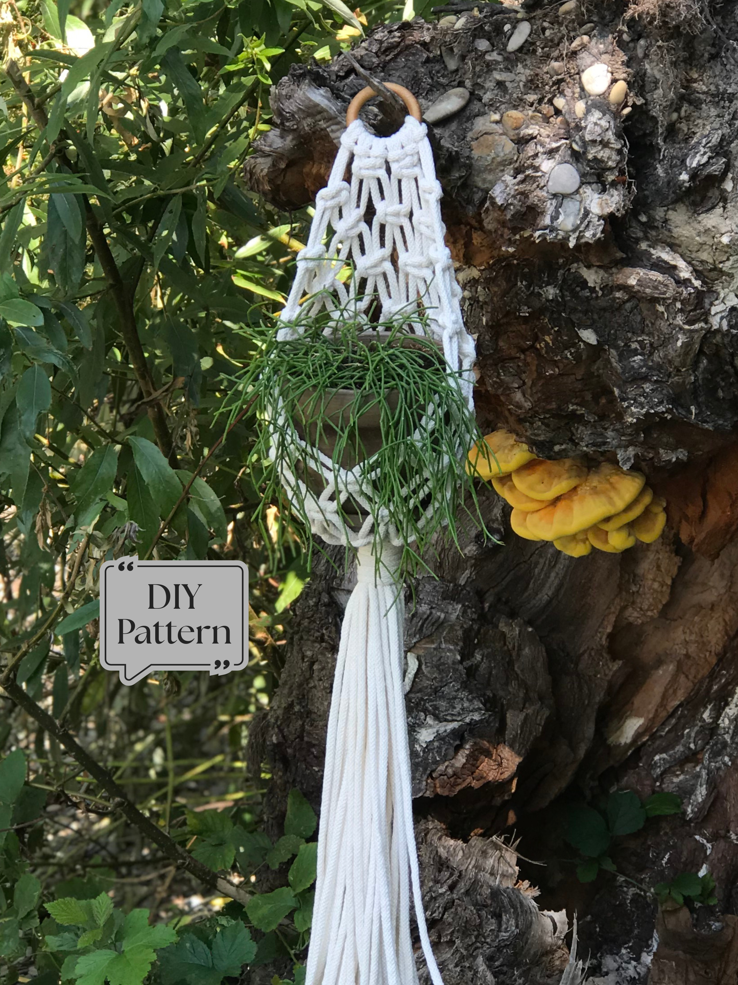 Macramé plant hanger with a nest-style basket design, hanging on a tree, featuring a wooden ring, textured knotwork, and a small potted trailing plant.
