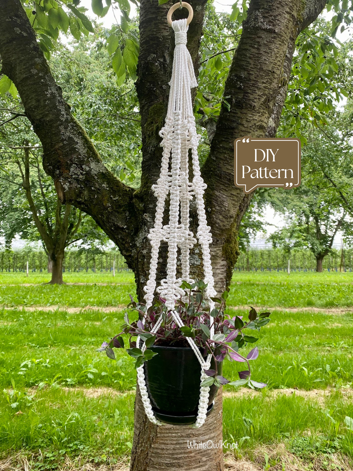 Makramee-Pflanzenampel ohne Quaste – modernes, minimalistisches DIY
