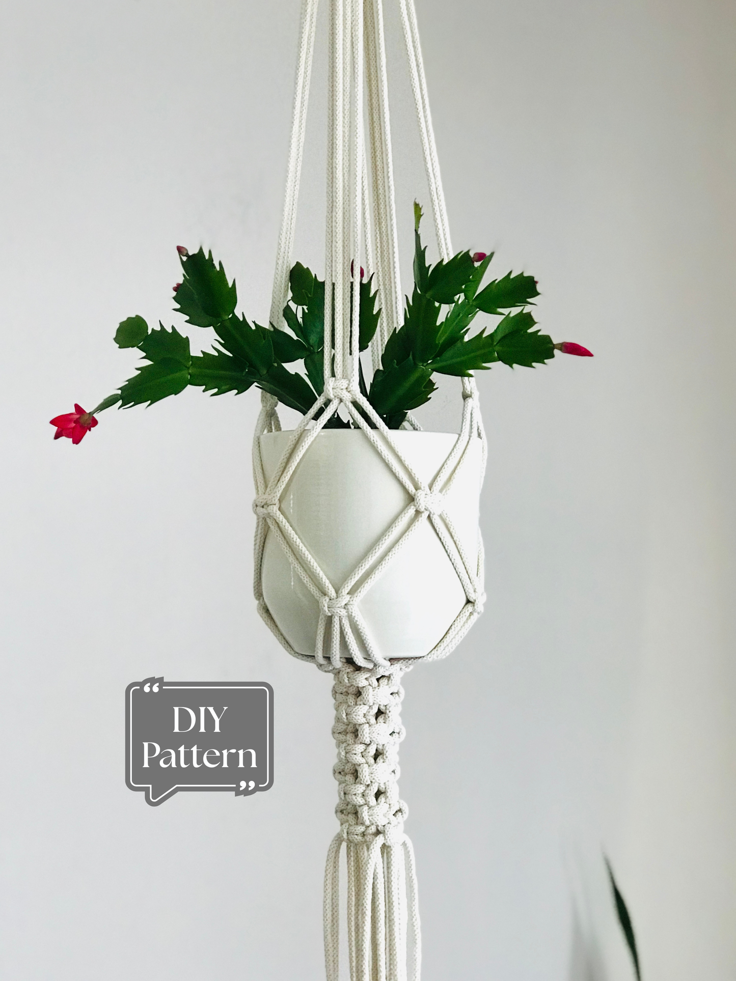 Macrame Plant Hanger PDF Pattern