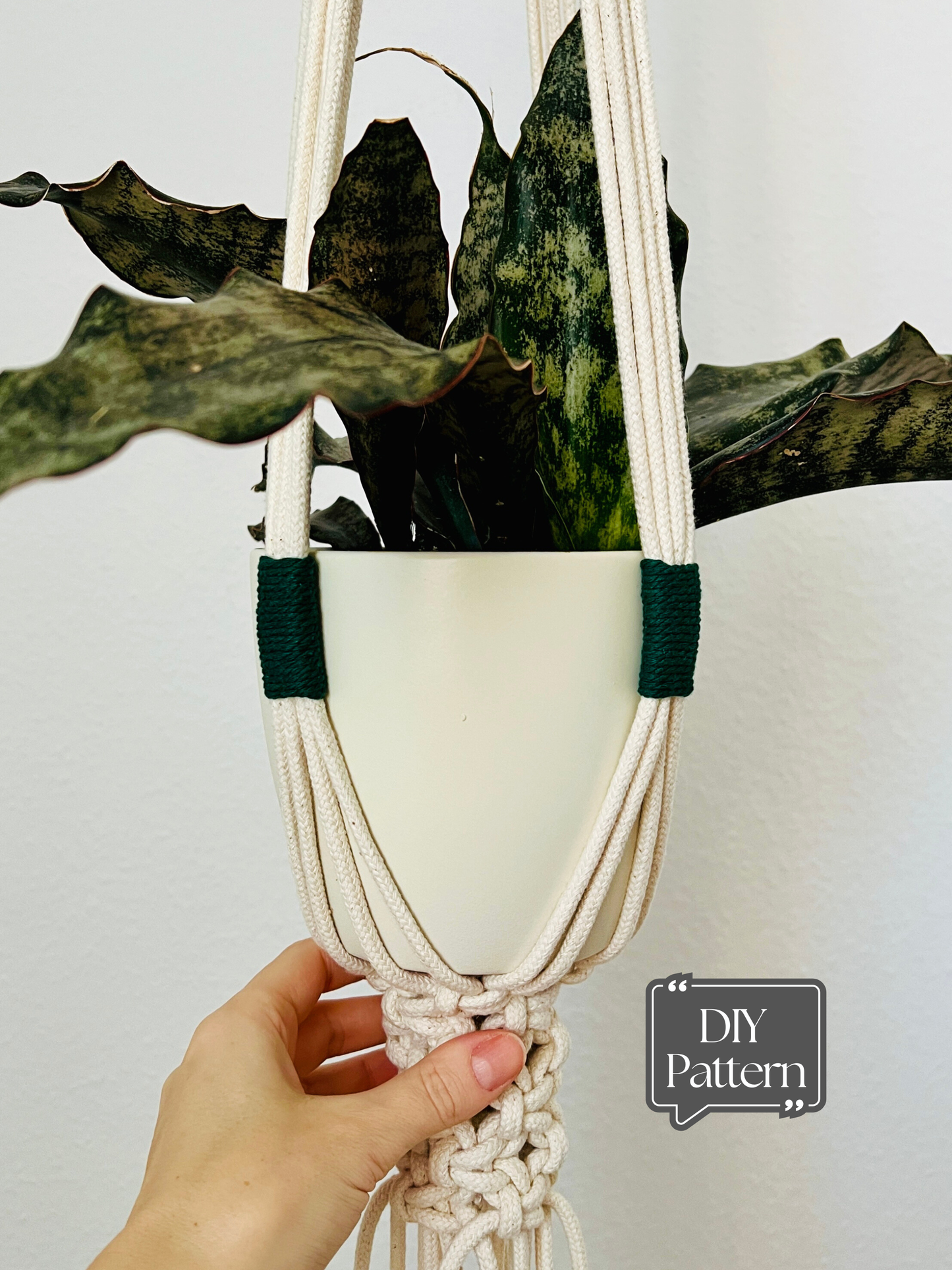 Handmade macrame plant hanger with a plant on a plain background