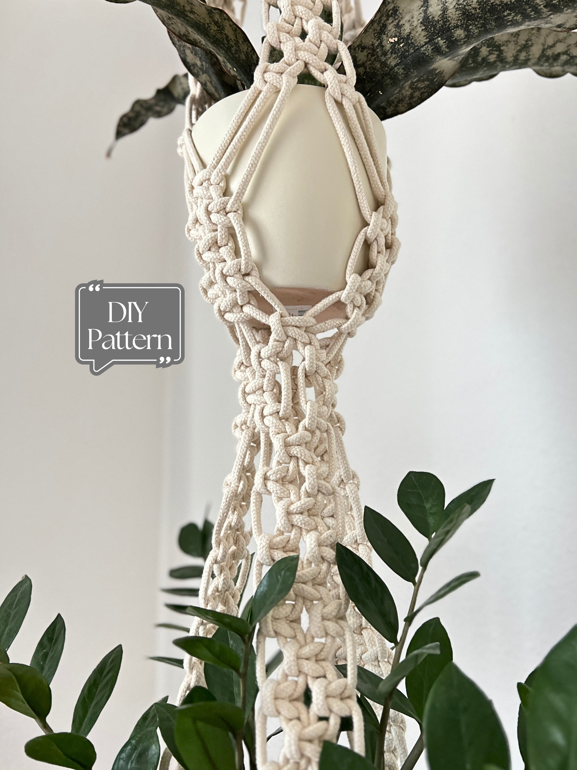 Double Macrame plant hanger with a pot on a branch against a white background