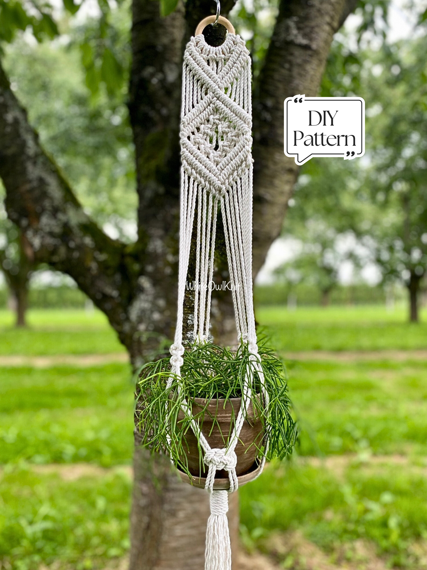 Macrame plant hanger with a plant against a natural background