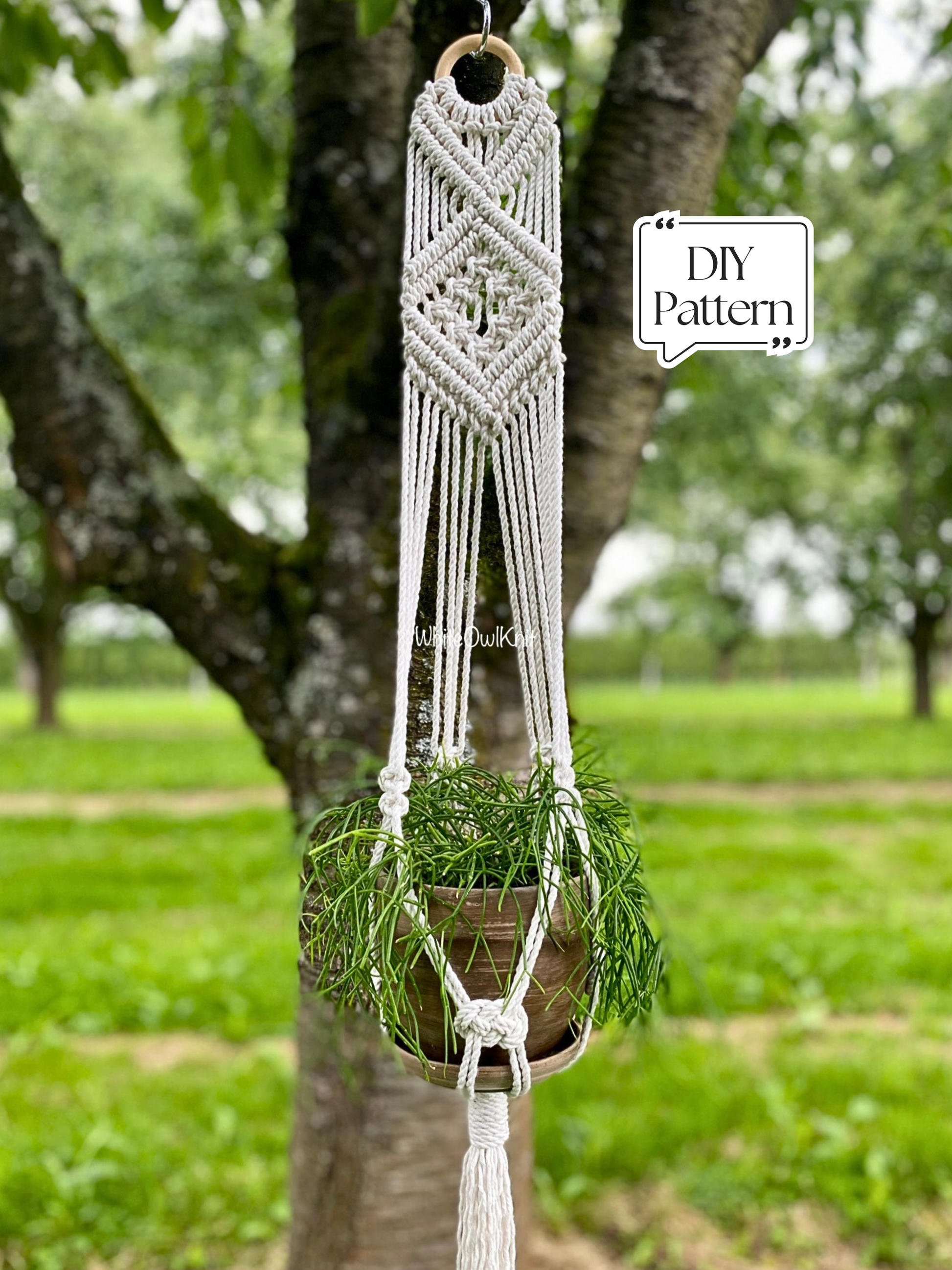 Macrame plant hanger with a plant against a natural background