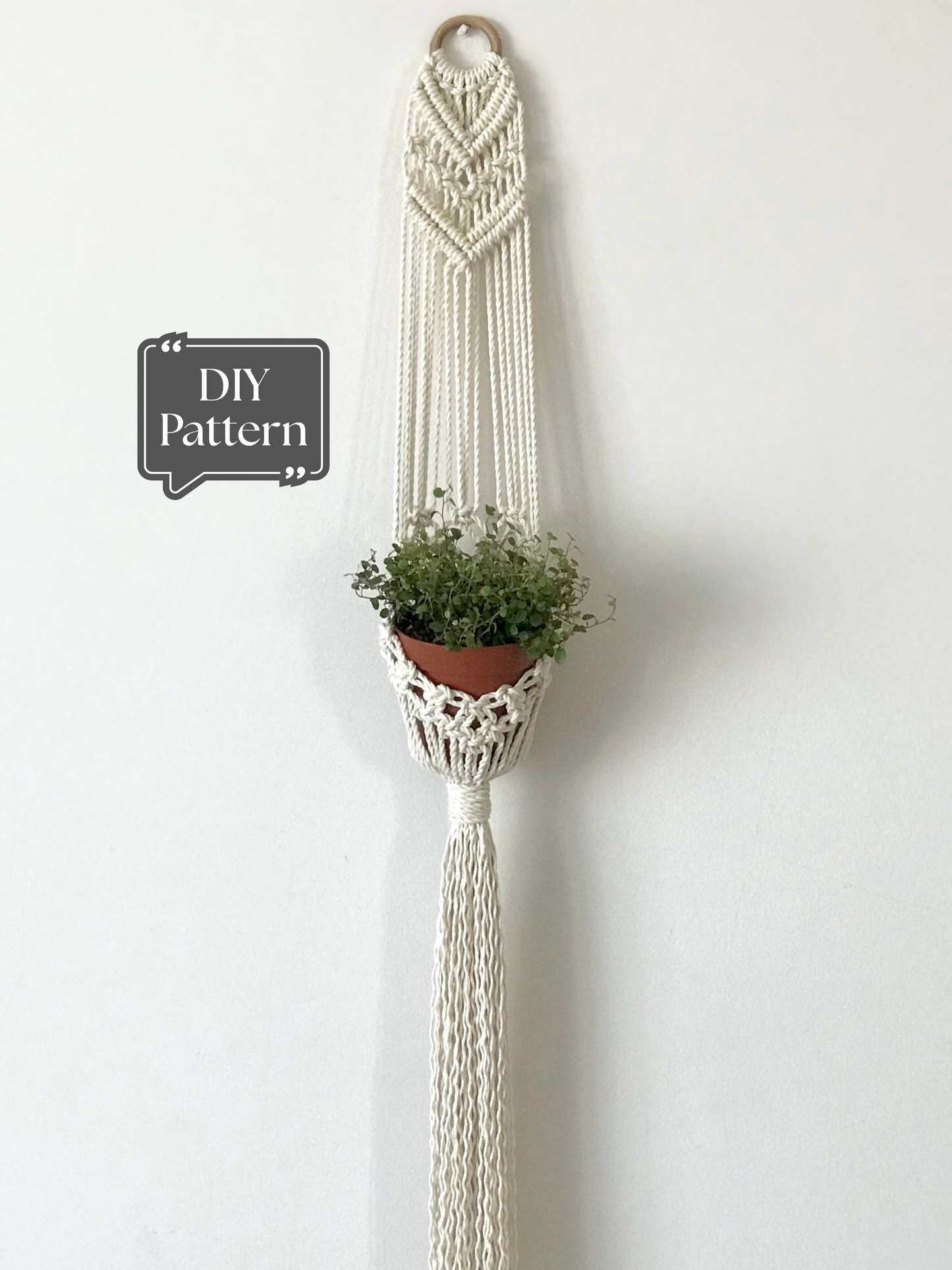 Macramé plant hanger with a long, vertical design, featuring geometric knot details at the top and a trailing fringe, holding a small terracotta pot against a white wall.