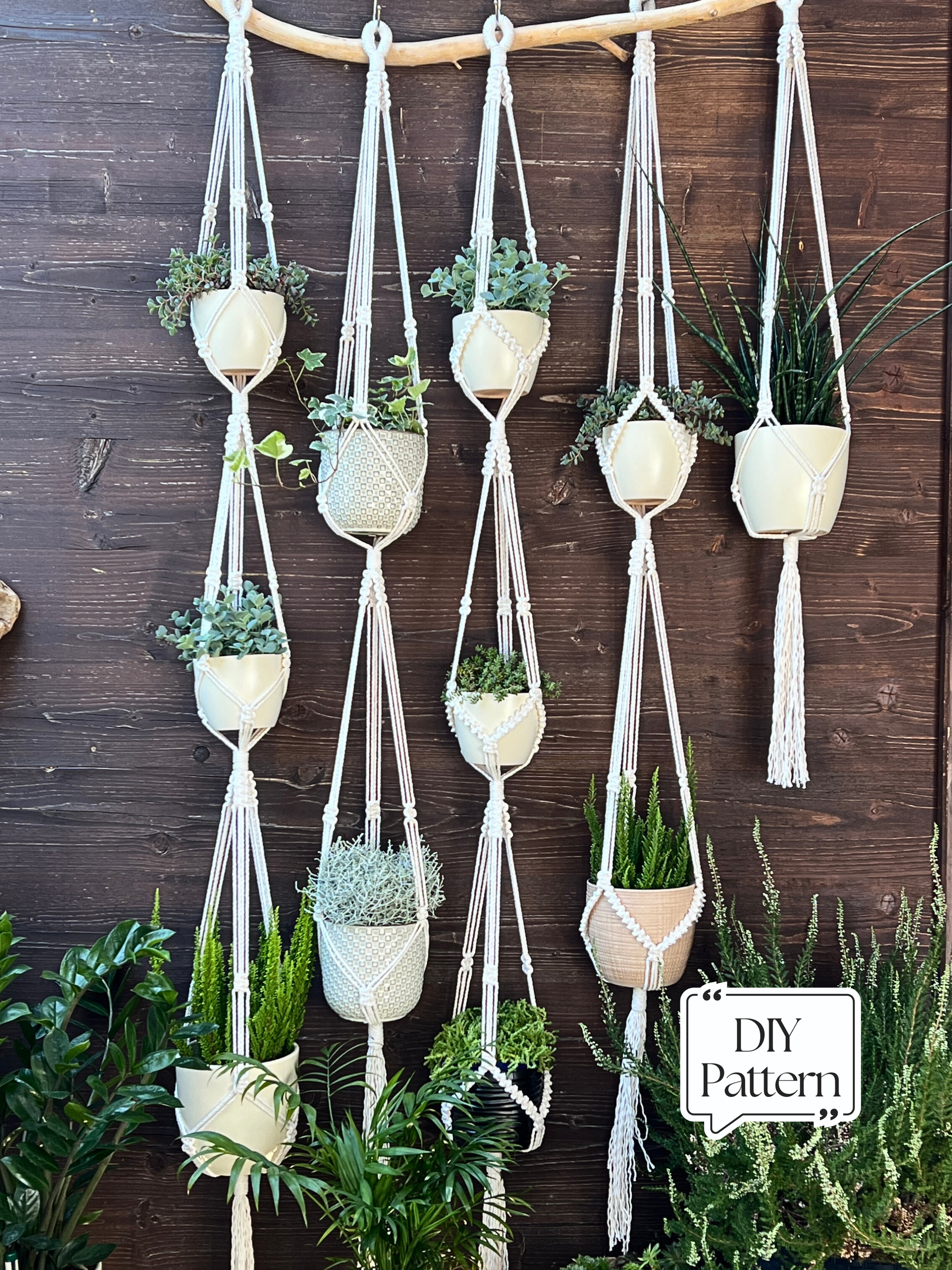 Hanging planters with macrame straps against a wooden wall