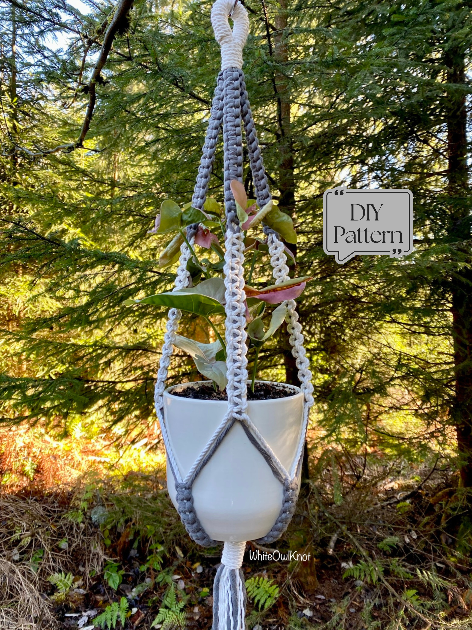 Macrame plant hanger with a plant against a forest background, featuring a 'DIY Pattern' sign.