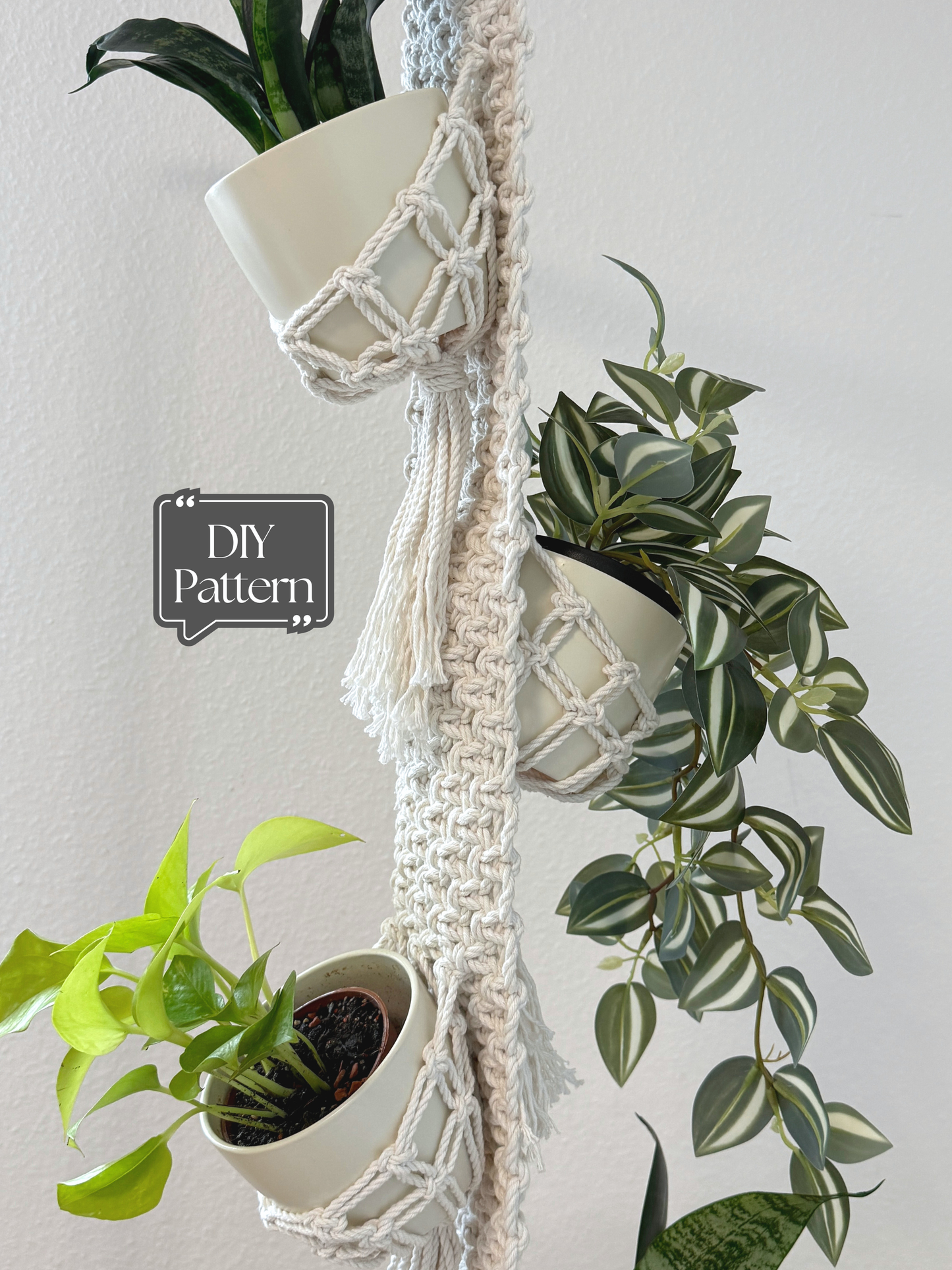 Macrame plant hanger with three potted plants against a light gray background