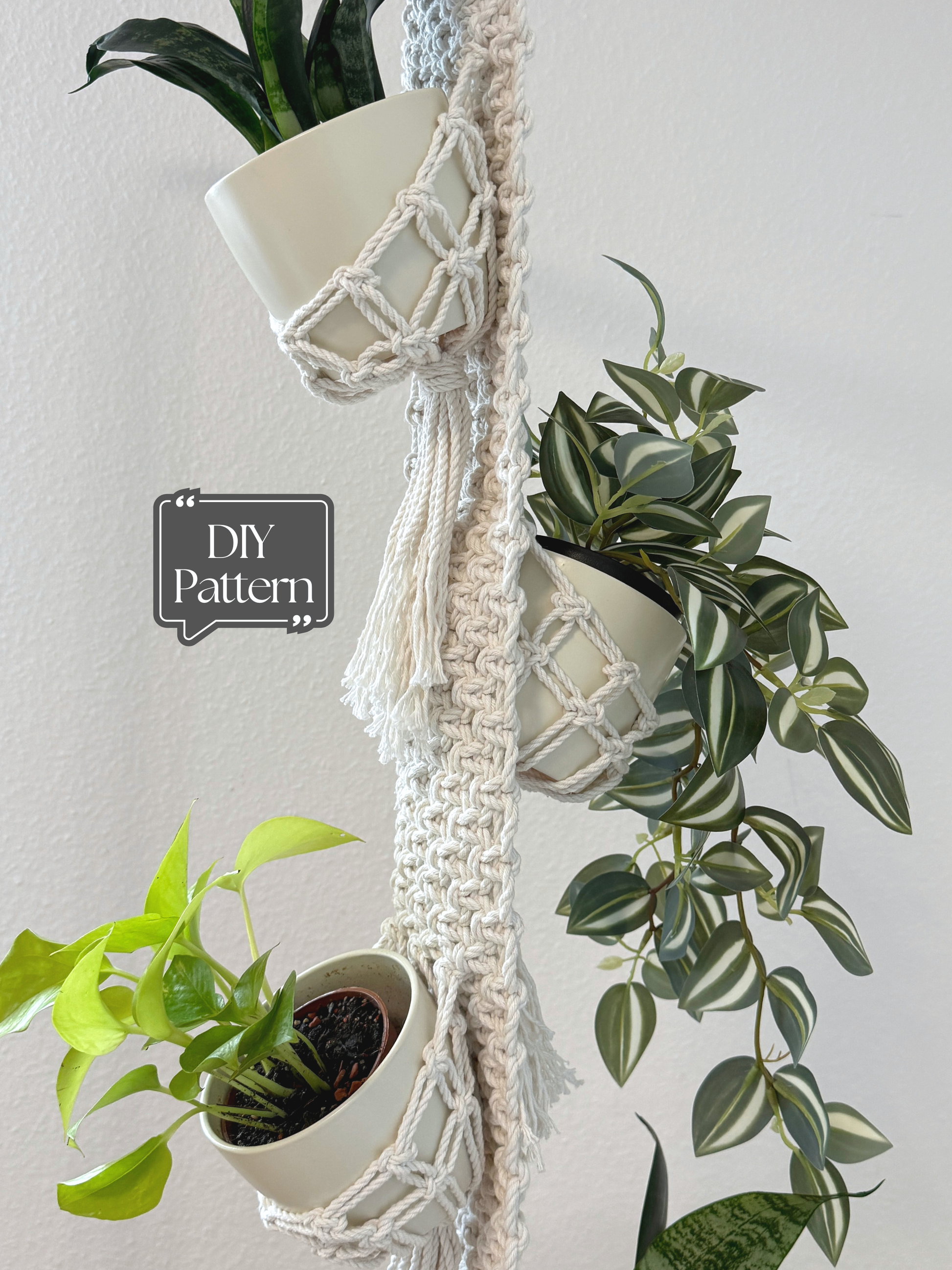 Macrame plant hanger with three potted plants against a light gray background