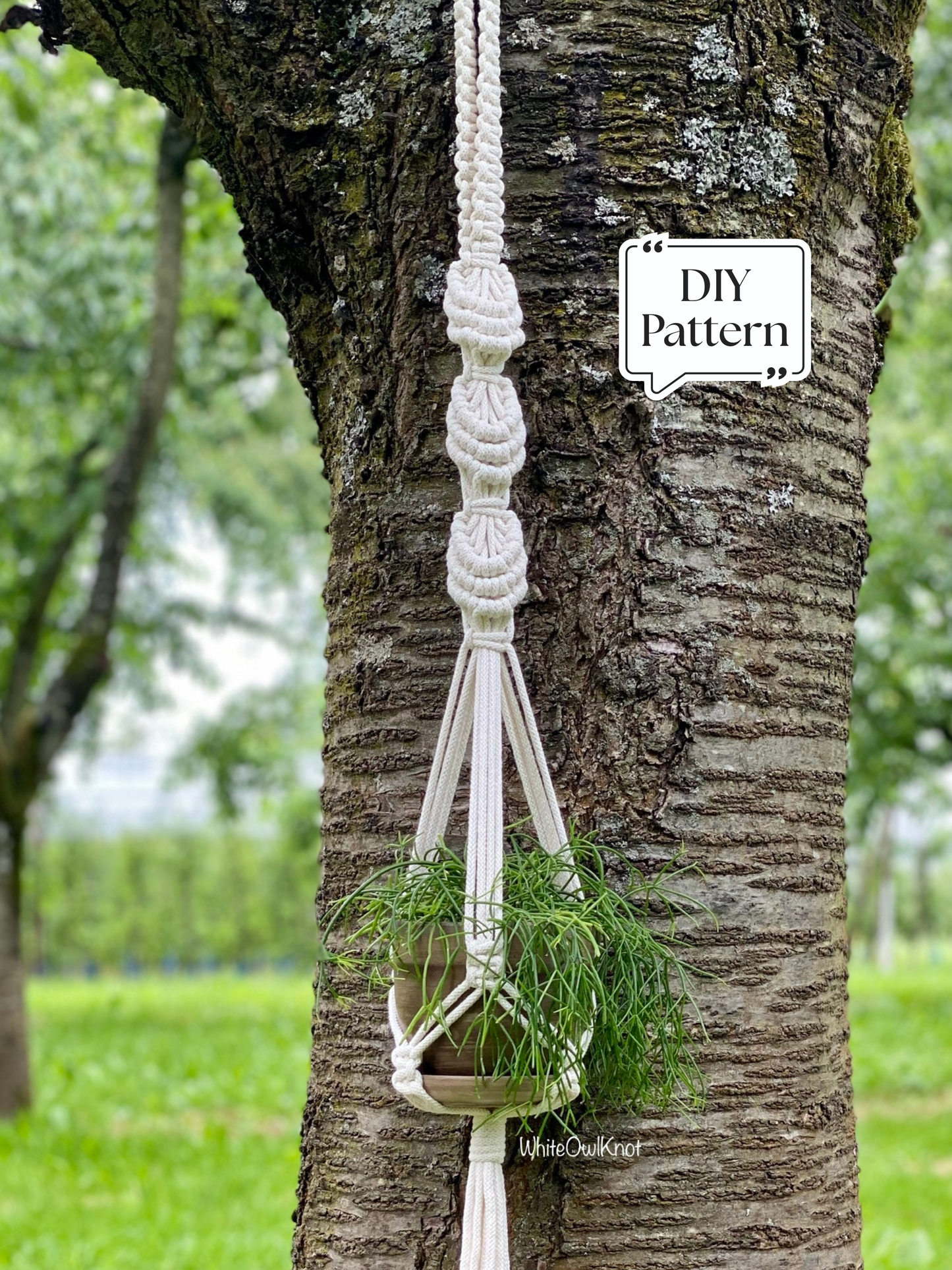 Macrame plant hanger hanging from a tree with a 'DIY Pattern' label.
