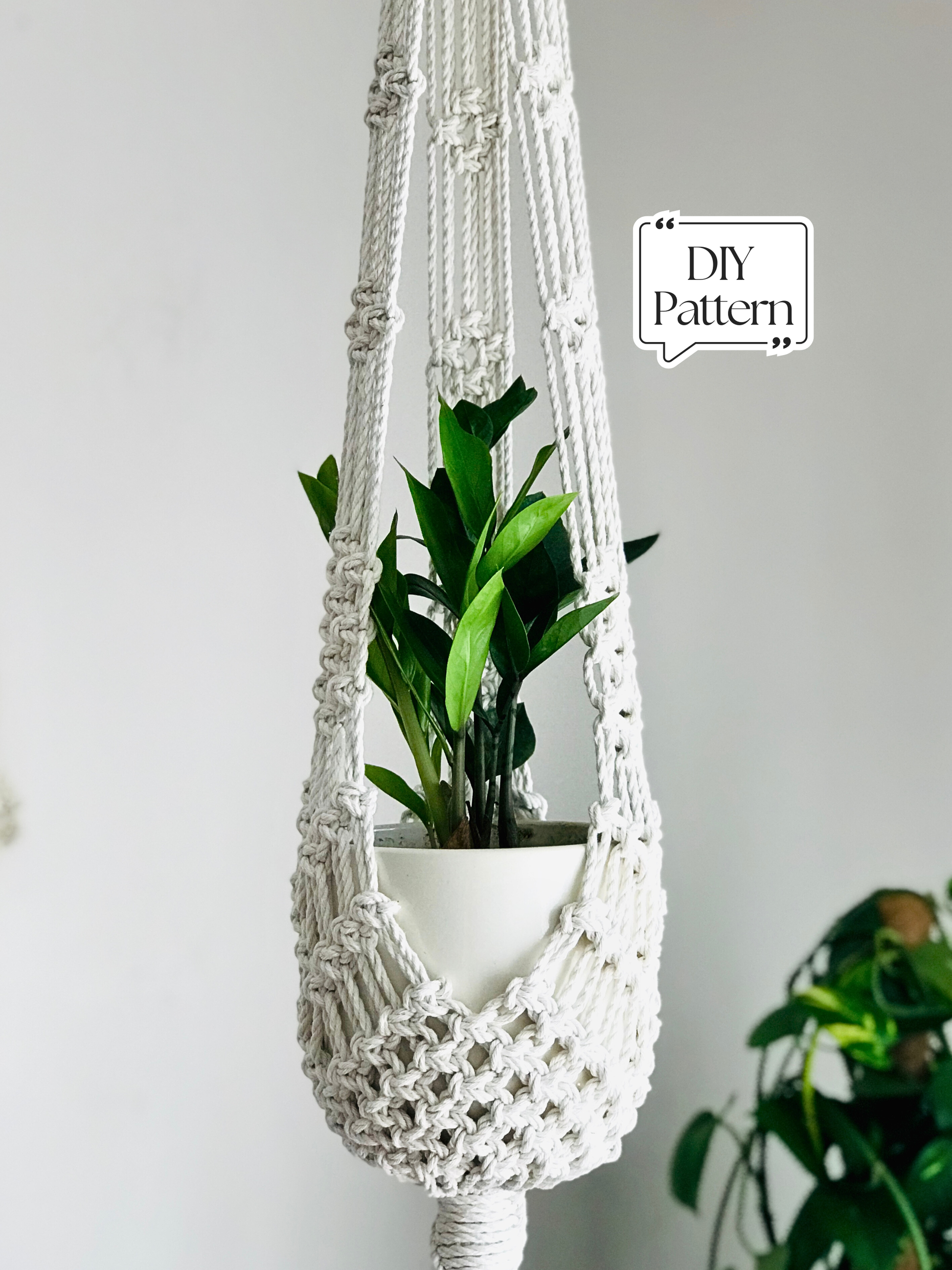 Macrame plant hanger with a potted plant against a plain background