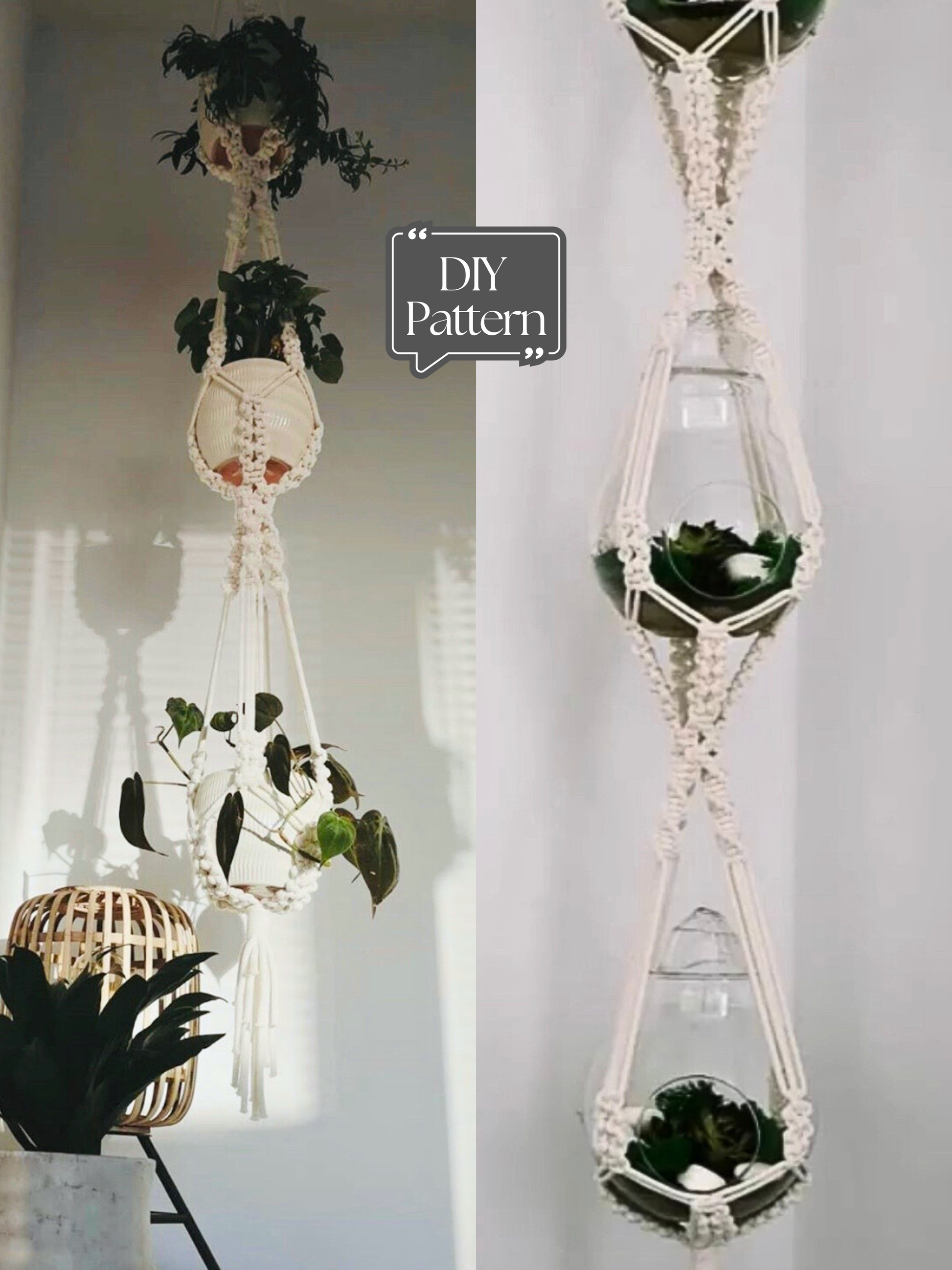 Macrame plant hanger with plants against a white wall