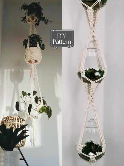 Macrame plant hanger with plants against a white wall