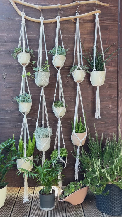 Macrame Plant Hangers + Knot Instructions, Guide for Complete Beginners