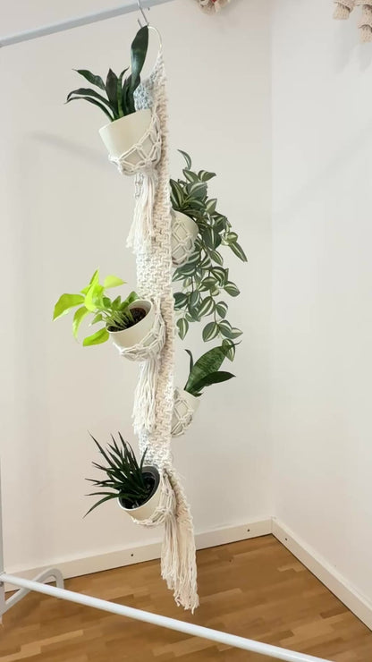Macrame Multiple Plant Hanger Pattern, Create Your Hanging Garden