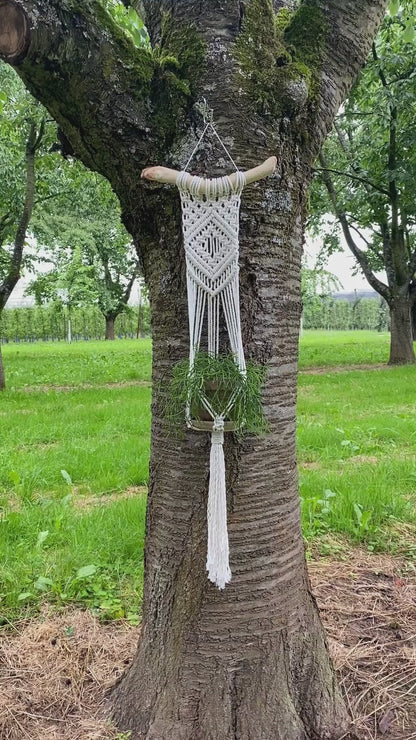 Macrame Plant Hanger Pattern, Wall Hanger DIY Tutorial